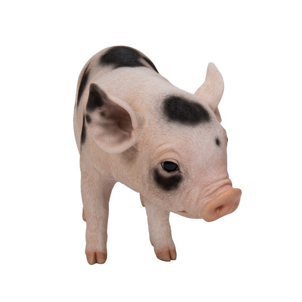 HiLine Gift Ltd. Standing Baby Pig Statue & Reviews Wayfair
